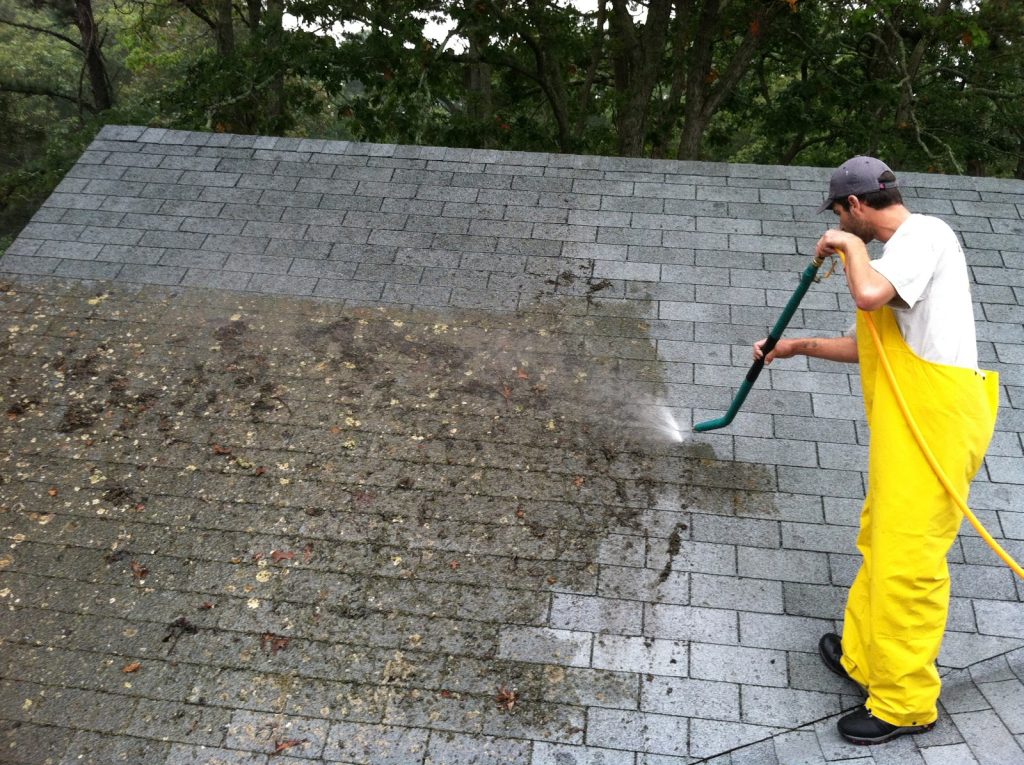 Roof Cleaning Services