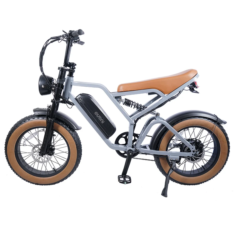 Electric Bikes 